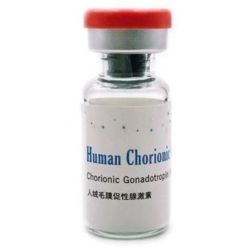 Human Chorionic Gonadotropin