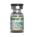 Enanthate 250